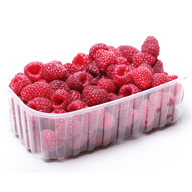 Sveža ariljska malina