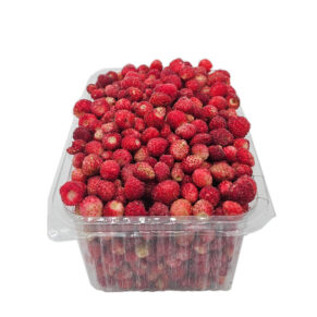 Šumske jagode zaleđene