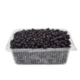 Šumske borovnice zaleđene