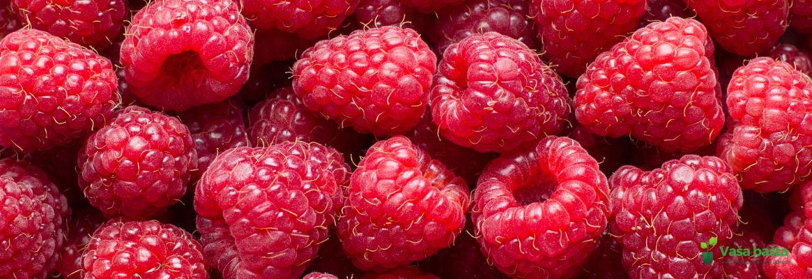 zašto su maline zdrave